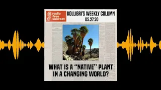 [05.27.20] What is a “Native” Plant in a Changing World?