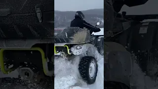 TGB Blade 1000 LTX in Snow