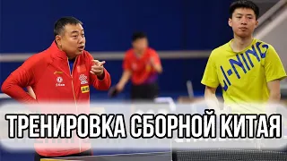 ТРЕНИРОВКА СБОРНОЙ КИТАЯ. Настольный теннис тренировка Китай. Ma long. Настольный теннис 2020