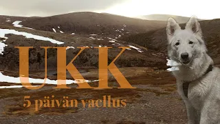 Alkukesän vaellus Lapissa - läpi UKK:n koiran kanssa | packraft | paratiisikuru