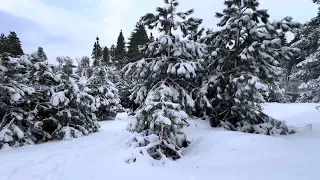 Snow in Southern California #getawaycabins