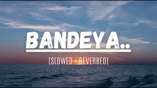 Bandeya - Arijit Singh [Slowed+Reverb] | Dil Juungle song💔[🎧]MGM LO_FI