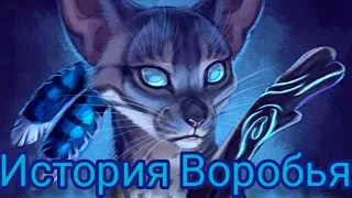 История Воробья/Jayfeather'story ( Заказ И Моя Версия ) Коты - Воители