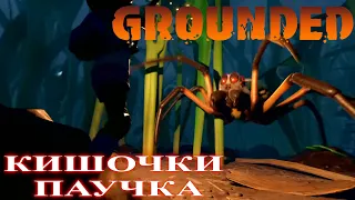 Grounded - я убил Паука-Волка (Wolf Spider) ! (часть 10)