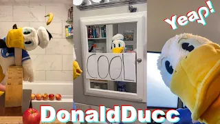 Best of DONALDDUCC TikTok Compilation - Funny Donald Duck TikToks of 2021