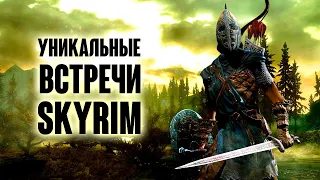 Skyrim RARE AND UNIQUE MEETINGS + SECRETS!