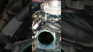 ls engine oil in intake manifold