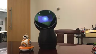 Jibo robot arrives at Vital A.I.