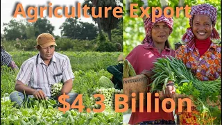 Cambodia earns $4.3 billion in revenue from agricultural exports in 2023