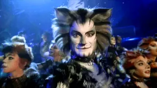 Cats 'Let The Memory Live Again' this summer at the Opera House Blackpool