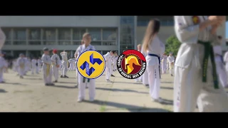 ДЮСШ 24 (Киев), СК Спарта, Taekwon-do ITF, 26.05.2019