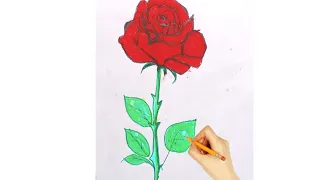 how to draw and colour red flower|for beginners
