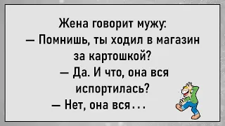 💎Подборка До Слёз Смешных Анекдотов! Просыпается Хоттабыч С Большущего Бодунища...