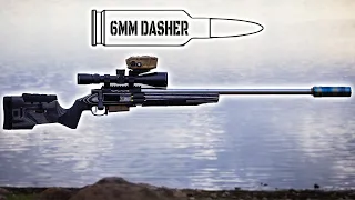 My Full Custom 6mm Dasher - Monkey Smashing Rifle