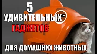 5 УДИВИТЕЛЬНЫХ и ПОЛЕЗНЫХ ГАДЖЕТОВ для домашних животных