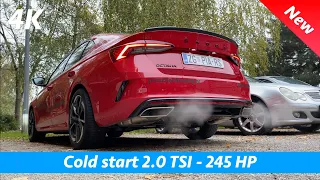 Škoda Octavia RS 2021 - 2.0 TSI 245 HP Cold start exhaust sound and pass by in 4K