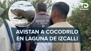 Mide casi dos metros y le gusta el sol: así es el cocodrilo reportado en laguna de Cuautitlán