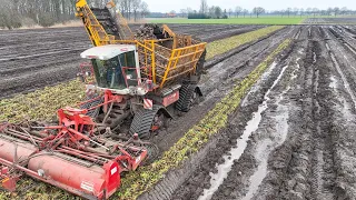 Beet monster on tracks stuggle | extreme wet beet harvest in the Netherlands