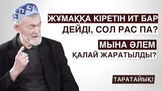 ЖЕР ҚАЛАЙ ЖАРАТЫЛДЫ? | ЖӘННАТҚА КІРЕТІН ИТ БАРЫ РАС ПА? | АБДУЛЛА ЖОЛДАС