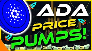 CARDANO ADA PUMPS 20% | ADA RECOVERY | ADA ANALYSIS & UPDATE | CRYPTO NEWS TODAY