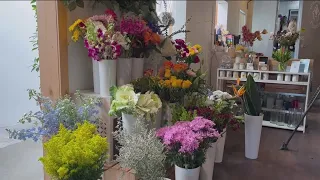Heavy rain in San Diego could bring 'great conditions for growth' among florists