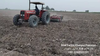 Massey Ferguson 460-Disk Plow