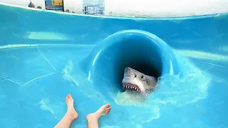 se tiró por un tobogán de agua infestado de TIBURONES... 😨