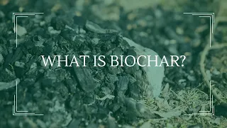 What is Biochar?