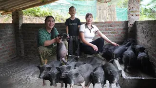 Crocodile caught in a trap, cooking pig bran, farm life, survival alone