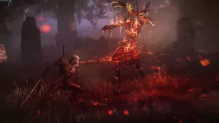 Witcher 3 - On the Champs Désolés Extended