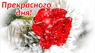 Шлю тебе снежинку! Зимний привет!