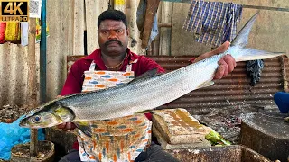 KASIMEDU 🔥 SPEED SELVAM | RARE BIG ALATHI FISH CUTTING | IN KASIMEDU | 4K VIDEO | FF CUTTING 🐠🔪🐟