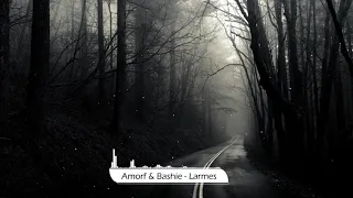 Amorf & Bashie - Larmes [8D]