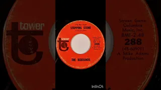 The Rebounds - (I'm Not Your) Stepping Stone, Tower records 1966, Us.