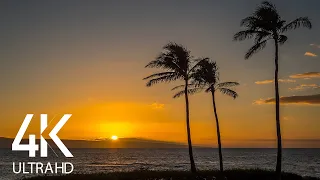 8 HOURS of Relaxing Ocean Waves Sounds with Tropical Beach Sunset Scene - UHD 2160p