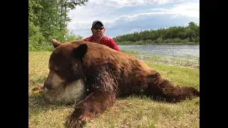 HUGE COLOR PHASE BLACK BEAR! / Scotts first bear hunt PT2