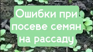 Ошибки при посеве семян на рассаду.