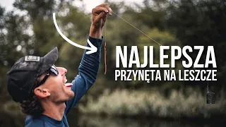 Najlepsza przynęta na leszcze!