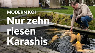 Daniels 10.000 Liter Genesis-PE-Karashi-Teich | Modern Koi Blog #6471