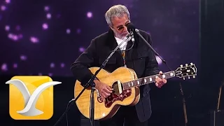 Yusuf Cat Stevens, The First Cut is the Deepest, Festival de Viña 2015, HD 1080p