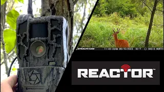 StealthCam Reactor Review - Best $100 Cellular Trail Camera?