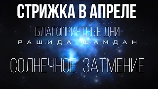 Благоприятные дни стрижки в апреле Лунный календарь стрижек