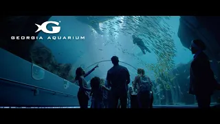 Georgia Aquarium — Another World Television Commercial Directors Cut