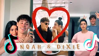 THE BEST OF DIXIE AND NOAH TIKTOK COMPILATION