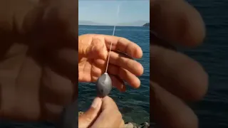 Kefal Yakalama Tüyoları🎣 Balık Avı Ve Teknikleri