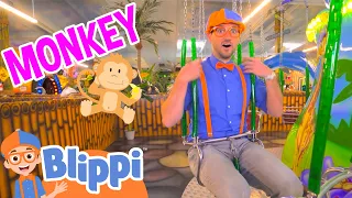 Blippi Learns and Plays with Animals! | Jungle Indoor Playground | Fun Educational Videos for Kids