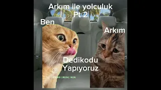 Pt 2 çok güzel oldu bence #kediler #kedilerhayatımolmuş #keşfetbeniöneçıkar #capcut #cats