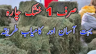 How To Make Alfalfa Hay For Goats - Super Food For Goats || Allhumdulilla Cargo Time