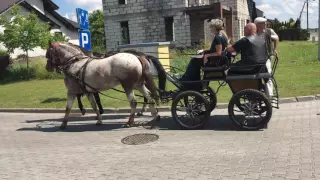 Parada konna ulicami Pniew. Dni Pniew. 19.06.2016r.