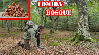 Encontrar Comida En El Bosque - Hayuco Comestible - Supervivencia
